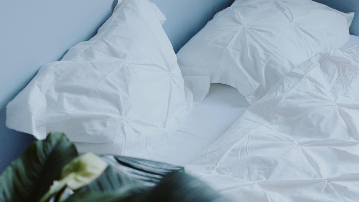 Use Bedsheets For Cleaning Cloths: पुरानी चादरों को दोबारा कैसे करें इस्तेमाल? जानें ऐसे तरीके, जो खूब बचाएंगे पैसा
