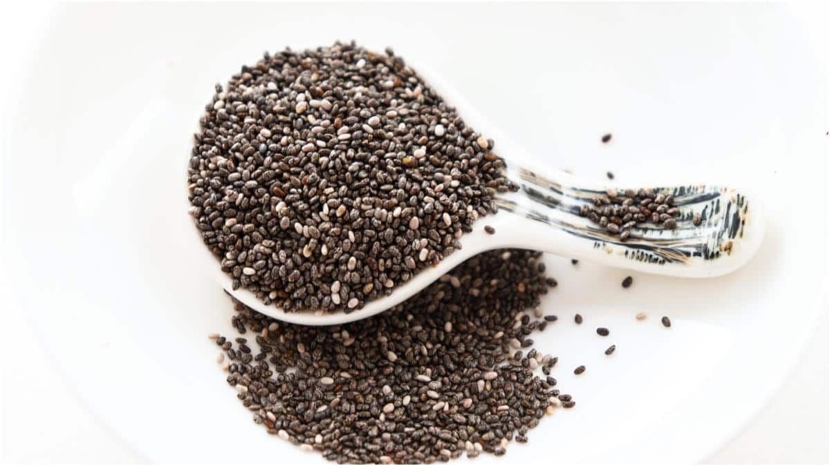 Chia Seeds Side Effects : చియా సీడ్స్ సరిగ్గా తీసుకోకుంటే ప్రమాదకర సైడ్ ఎఫెక్ట్స్ తప్పవు.. ఎప్పుడు, ఎలా తీసుకోవాలంటే