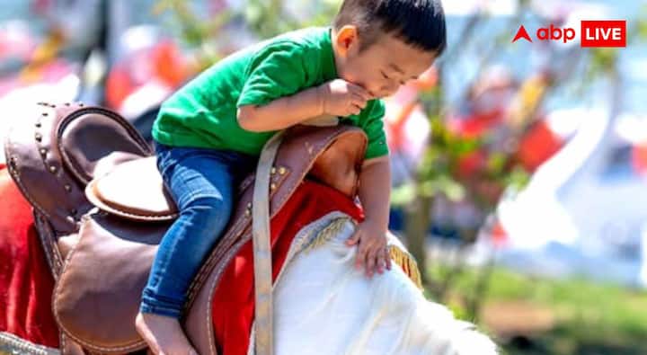Animal Ride Weight Limit : ज्यादा है वजन तो इन जगहों पर नहीं जा सकते घूमने, जानें क्यों लागू हुआ कानून? 2 दुनिया की कई टूरिस्ट जगहों पर नियम लागू हो चुके हैं. ग्रीस में 100 किलो से ज्यादा वजन वाले लोग गधों पर नहीं बैठ सकते हैं. स्पेन में 80 किलो तक की सीमा तय है. वहीं मिस्र में जानवरों की सवारी पर कई जगह बैन है. और जॉर्डन में जानवरों की जगह इलेक्ट्रिक गाड़ियां लाई जा रही हैं. अब विदेशों में सख्ती शुरू हो चुकी है. इसलिए अगर आपका वजन 80 किलो से ज्यादा है और आप छुट्टियों में जानवरों की सवारी करने का प्लान बना रहे हैं, तो आपको सावधान रहने की जरूरत है.
