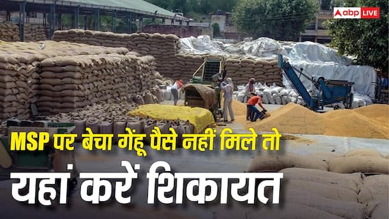 MSP पर गेहूं बेचने के बाद अब तक नहीं आया खाते में पैसा, यहां करें शिकायत MSP पर गेहूं बेचने के बाद अब तक नहीं आया खाते में पैसा, यहां करें शिकायत