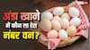 Highest Egg Consuming Country: दुनिया में कहां खाए जाते हैं सबसे ज्यादा अंडे, अपना भारत किस नंबर पर?