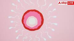 IVF Treatment: સ્ત્રીઓ કેટલી ઉંમર સુધી કરાવી શકે છે IVF, જાણો તેમા કેટલો આવે છે ખર્ચ?