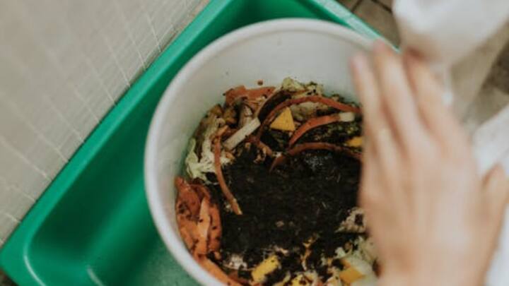 इसके बाद इस कचरे को छोटे-छोटे टुकड़ों में काट लें, ताकि यह जल्दी सड़कर खाद में बदलें. आप चाहे तो इसे ऐसे ही बिना काटे भी डाल सकते हैं. वहीं अंडे के छिलके को धोकर सुखा लें और फिर पीसकर पाउडर बना लें.