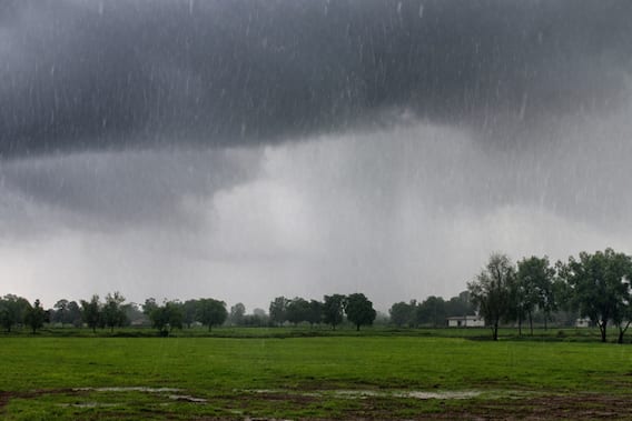 Punjab Weather: ਪੰਜਾਬ 'ਚ ਗਰਮੀ ਤੋਂ ਮਿਲੇਗੀ ਰਾਹਤ, ਲਗਾਤਾਰ 4 ਦਿਨ ਛਮ-ਛਮ ਵਰ੍ਹੇਗਾ ਮੀਂਹ! ਤੇਜ਼ ਤੂਫ਼ਾਨ, ਬਿਜਲੀ ਡਿੱਗਣ ਦਾ ਅਲਰਟ; ਇਨ੍ਹਾਂ ਜ਼ਿਲ੍ਹਿਆਂ 'ਚ ਹਨ੍ਹੇਰੀ-ਝੱਖੜ...