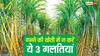 गन्ने की खेती करने वाले किसान सावधान, ये 3 गलतियां कर सकती हैं आपकी मेहनत बेकार
