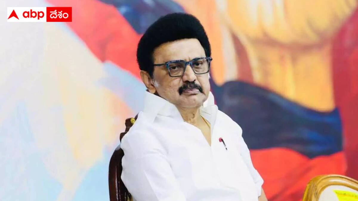 Tamil Nadu Assembly Elections: స్టాలిన్‌కు ఆయుధంగా దొరికిన డీలిమిటేషన్ - సెంటిమెంట్‌తో క్లీన్ స్వీప్ చేస్తారా?