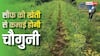 कम लागत में छप्परफाड़ मुनाफा, बिहार के इस किसान ने सौंफ उगाकर कमाई को किया चार गुना, जानें तरीका