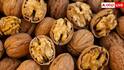 Walnut Farming: એક જ વૃક્ષમાંથી કરો 28 થી 30 હજારની કમાણી, ખેડૂતો આ રીતે કરો અખરોટની ખેતી