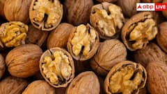 Walnut Farming: એક જ વૃક્ષમાંથી કરો 28 થી 30 હજારની કમાણી, ખેડૂતો આ રીતે કરો અખરોટની ખેતી
