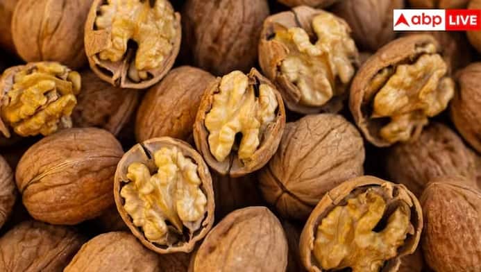 Walnut Farming: આજકાલ ખેડૂતો પરંપરાગત પાકોને બદલે નવી ટેકનોલોજી અને નવી ખેતી પદ્ધતિઓ અપનાવી રહ્યા છે, જેનાથી સારી આવક મેળવી શકાય છે. પરિણામે ખેડૂતો ડ્રાયફૂટ્સની ખેતી પણ કરવા લાગ્યા છે, જે તેમના માટે નફાકારક સાહસ બની રહ્યું છે. અખરોટની ખેતીમાં ખેડૂતોનો રસ વધ્યો છે, ખાસ કરીને તેની ઊંચી બજાર માંગ અને સારી આવકને કારણે ખેડૂતો તેની ખેતી કરવા લાગ્યા છે.