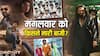 Tuesday Box Office Collection: मंगलवार को भी Dhurandhar 2 ने मचाई धूम, साउथ की फिल्मों ने भी मारी बाजी, लेकिन पीछे रह गई 'डकैत', जानें- कलेक्शन