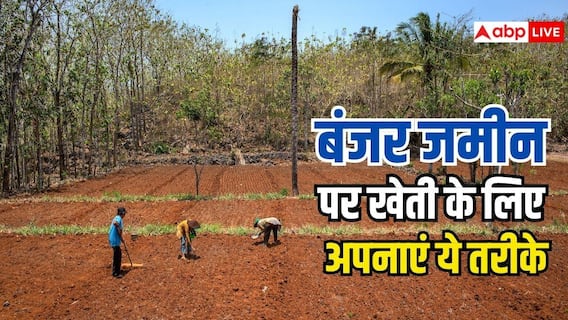 बंजर जमीन से पाएं रिकॉर्ड तोड़ पैदावार, बस मिट्टी में मिलाएं ये चीजें और देखें कमाल बंजर जमीन से पाएं रिकॉर्ड तोड़ पैदावार, बस मिट्टी में मिलाएं ये चीजें और देखें कमाल