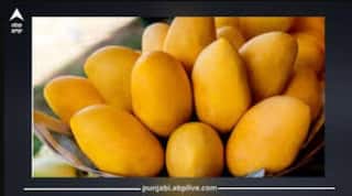 Mango Eating Tips : ਅੰਬ ਦੇ ਨਾਲ ਕਦੇ ਵੀ ਨਾ ਖਾਓ ਇਹ 5 ਚੀਜ਼ਾਂ, ਨਹੀਂ ਤਾਂ ਵਿਗੜ ਸਕਦੀ ਹੈ ਸਿਹਤ