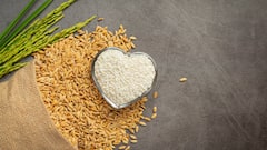 Bread And Rice May Be Secretly Slowing Your Metabolism, New Study Finds