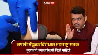 जपानी मेंदूज्वराविरोधात महाराष्ट्र सतर्क; लसीकरण मोहिमेला वेग, मुख्यमंत्री फडणवीसांनी दिली माहिती