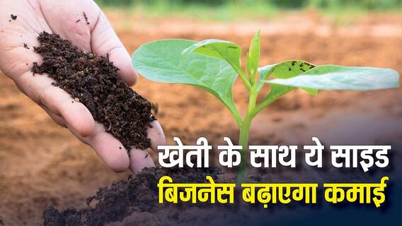 वर्मी कंपोस्टिंग से बदलें अपनी किस्मत, खेती के साथ शुरू करें ये साइड बिजनेस, 100 दिन में मिलेगा मुनाफा वर्मी कंपोस्टिंग से बदलें अपनी किस्मत, खेती के साथ शुरू करें ये साइड बिजनेस, 100 दिन में मिलेगा मुनाफा