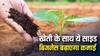 वर्मी कंपोस्टिंग से बदलें अपनी किस्मत, खेती के साथ शुरू करें ये साइड बिजनेस, 100 दिन में मिलेगा मुनाफा