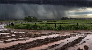 Gujarat Weather Update: 19 એપ્રિલથી ફરી વાતાવરણમાં પલટો, જાણો ક્યાં જિલ્લામાં પડશે કમોસમી વરસાદ