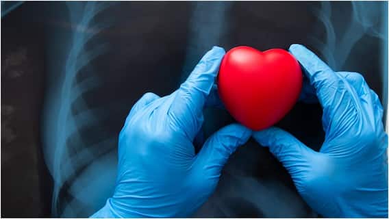 Heart Health in Summer : వేసవిలో గుండె జబ్బుల ప్రమాదం తగ్గించాలా? అయితే లైఫ్స్టైల్లో ఈ మార్పులు చేసేయండి Heart Health in Summer : వేసవిలో గుండె జబ్బుల ప్రమాదం తగ్గించాలా? అయితే లైఫ్స్టైల్లో ఈ మార్పులు చేసేయండి