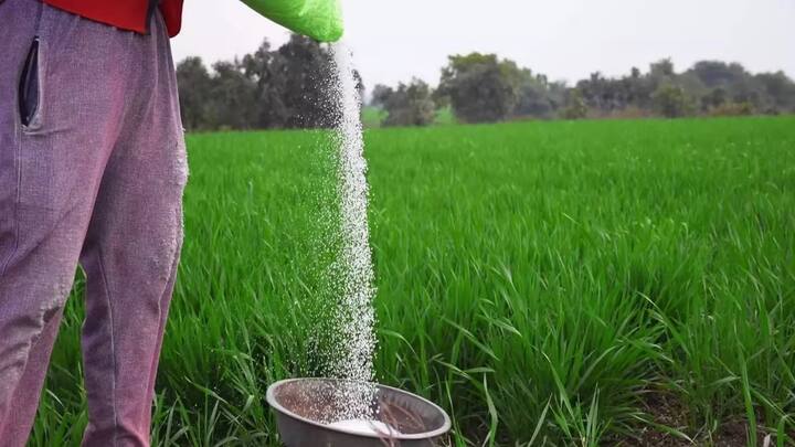 यूरिया का संकट केवल एक फसल को नहीं. बल्कि पूरी ग्रामीण इकोनॉमी को चोट पहुंचाता है. लागत बढ़ने और पैदावार घटने से किसान का मुनाफा कम हो जाता है, जिससे उनकी खरीदारी की क्षमता गिरती है. ऐसे में नैनो यूरिया और जैविक खाद जैसे आधुनिक विकल्पों को अपनाना जरूरी है ताकि लागत पर लगाम कसी जा सके.