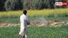 Fertilizer Subsidy: खाद पर कैसे मिलती है किसानों को सब्सिडी, जान लें पूरा प्रोसेस