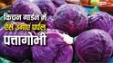 अपने किचन गार्डन में ऐसे उगाएं पर्पल पत्तागोभी, होगा शानदार फायदा