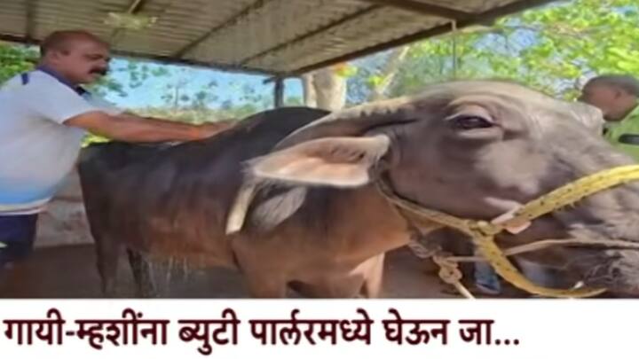 हा नाविन्यपूर्ण उपक्रम ग्रामपंचायत आणि गावातील लोकवर्गणीतून उभा राहिला आहे