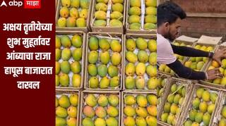 अक्षय तृतीयेच्या शुभ मुहूर्तावर आंब्याचा राजा हापूस बाजारात दाखल, एक डझनचा दर किती? 