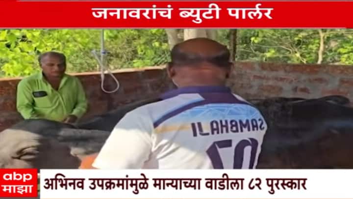 साताऱ्यातील पाटण तालुक्यातील 'माण्याची वाडी' या गावात पाळीव जनावरांसाठी राज्यातील पहिले ब्युटी पार्लर म्हणजेच अत्याधुनिक स्नानगृह सुरू करण्यात आले आहे.