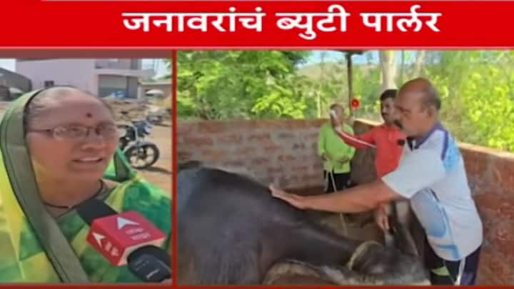 याआधी ग्रामस्थ आपल्या जनावरांना धुण्यासाठी नदी किंवा ओढ्याच्या वाहत्या पाण्यावर घेऊन जायचे, ज्यामुळे जलप्रदूषण होत असे. हे प्रदूषण रोखण्यासाठी आणि पर्यावरणाचा समतोल राखण्यासाठी या पार्लरची निर्मिती करण्यात आली आहे
