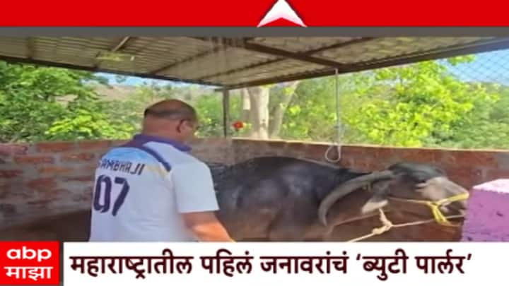 या ब्युटी पार्लरमध्ये जनावरांसाठी शॉवर आणि स्वच्छतेची सोय तसेच केस काढण्याची सुविधा एकाच ठिकाणी उपलब्ध करून देण्यात आली आहे.