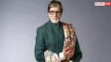 Amitabh Bachchan Style: दो घड़ियां और खास चश्मा... बिग बी के इन 5 फैशन रूल्स का नहीं है कोई तोड़