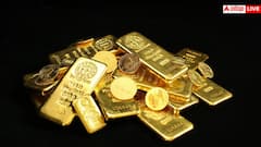 Largest Gold Producing Countries: विदेश घूमने के साथ करनी है सोने की शॉपिंग? इन 5 देशों का बनाएं प्लान