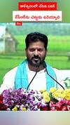 కాళేశ్వరంలో చేసిన పనికి .. కేసీఆర్‌ను చెట్టుకు ఉరెయ్యాలి