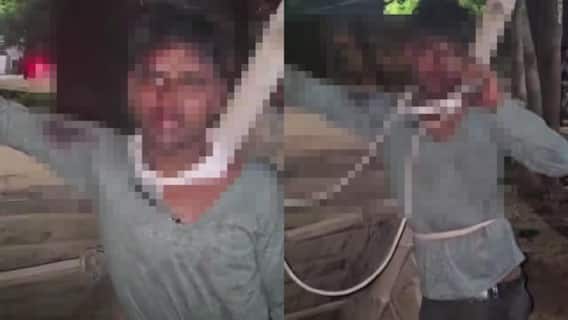 Satna News: प्रेमिका से मिलने आए प्रेमी के साथ भीड़ ने किया हमला, रस्सी से बांधकर की जमकर धुनाई