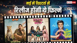 May 2026 Theatre Release: 'पति पत्नी और वो दो' से लेकर 'बंदर' तक, मई के महीने में सिनेमाघरों में तहलका मचाने आ रहीं ये फिल्में