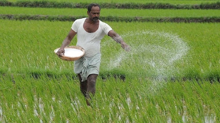 गर्मी के मौसम में केमिकल खाद के अंधाधुंध इस्तेमाल से बचना चाहिए. क्योंकि ये जमीन को और भी ज्यादा गर्म कर देती हैं. इसकी जगह आप जैविक खाद का इस्तेमाल करें जो पौधों को जरूरी पोषण देने के साथ-साथ उन्हें अंदर से ठंडा और मजबूत बनाए रखेंगी.