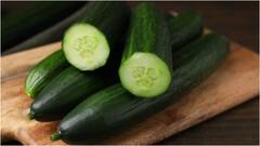 Cucumber in Summer : వేసవిలో కీరదోస తింటే మలబద్ధకం, డయాబెటిస్‌కి ఉపశమనం.. మరెన్నో ప్రయోజనాలు