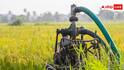 Irrigation Tips: कम पानी में ऐसे करें खेतों की सिंचाई, किसानों के लिए काम के हैं टिप्स