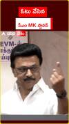 ఓటు వేసిన MK స్టాలిన్‌