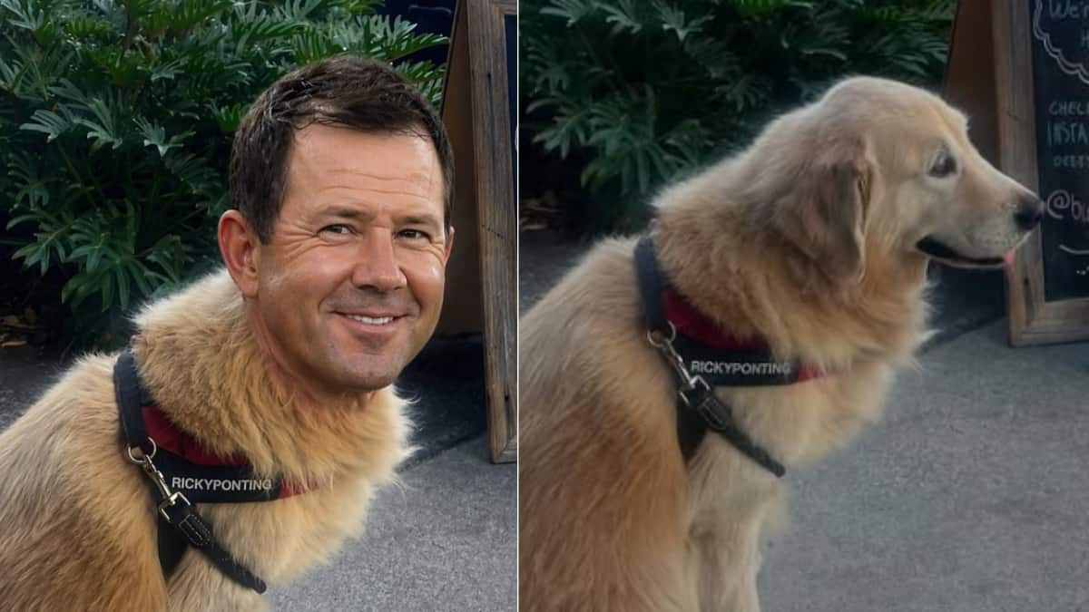 Adam Gilchrist Stuns Fans With Dog Named Ricky Ponting