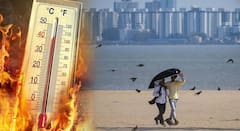 Heat Wave: देशात उष्णतेचा कहर! महाराष्ट्रातही उकाड्यासह वादळ अन् अवकाळी पावसाच सावट, हवामान विभागाचा इशारा काय?