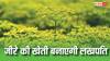 जीरे की खेती कैसे करें? किसान जान लें आसान तरीका, होगी तगड़ी कमाई