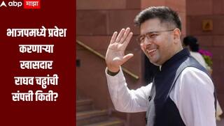 Raghav Chadha : आपला झटका देत भाजपमध्ये प्रवेश करणाऱ्या खासदार राघव चढ्ढांची संपत्ती किती? 