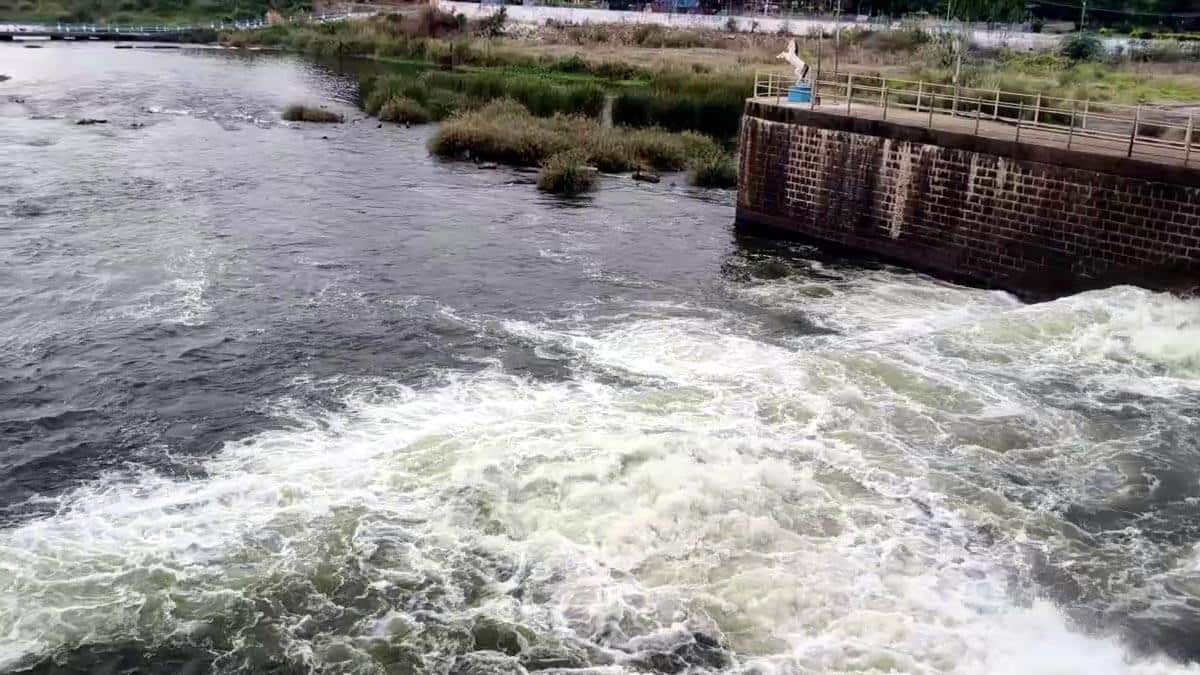 மதுரை சித்திரை திருவிழா: வைகை அணையில் இருந்து வினாடிக்கு 500 கனஅடி தண்ணீர் திறப்பு
