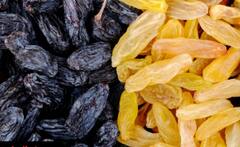 Black Raisins Benefits: બ્લેક કિસમિસનું સેવન સ્વાસ્થ્ય માટે વરદાન, ફાયદા જાણી ચોંકી જશો
