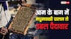 आम के बाग में शुरू किया मधुमक्खी पालन, दोगुनी हो गई पैदावार; किसान ने पेश की मिसाल