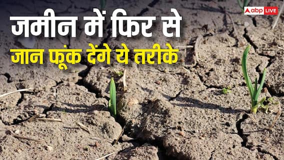 DAP और यूरिया डाल-डालकर बेजान हो गई है मिट्टी, इस तरीके से फिर से हो जाएगी उपजाऊ DAP और यूरिया डाल-डालकर बेजान हो गई है मिट्टी, इस तरीके से फिर से हो जाएगी उपजाऊ