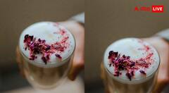 Gulkand Milk Recipe: गर्मी में ठंडक देने वाला देसी ड्रिंक, घर पर मिनटों में बनाएं हेल्दी गुलकंद मिल्क, जानें रेसिपी