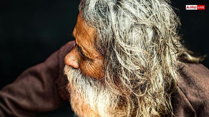 हमारा शरीर स्वाभाविक रूप से थोड़ी मात्रा में हाइड्रोजन पेरोक्साइड बनाता है. जवानी में कैटलेज जैसे एंजाइम इसे कुशलता से तोड़ देते हैं. उम्र बढ़ने के साथ कैटलेज का स्तर गिर जाता है. इससे हाइड्रोजन पेरोक्साइड जमा होने लगता है और बालों को अंदर से ब्लीच कर देता है.